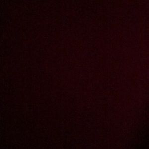 Meet your Posher, Daylen